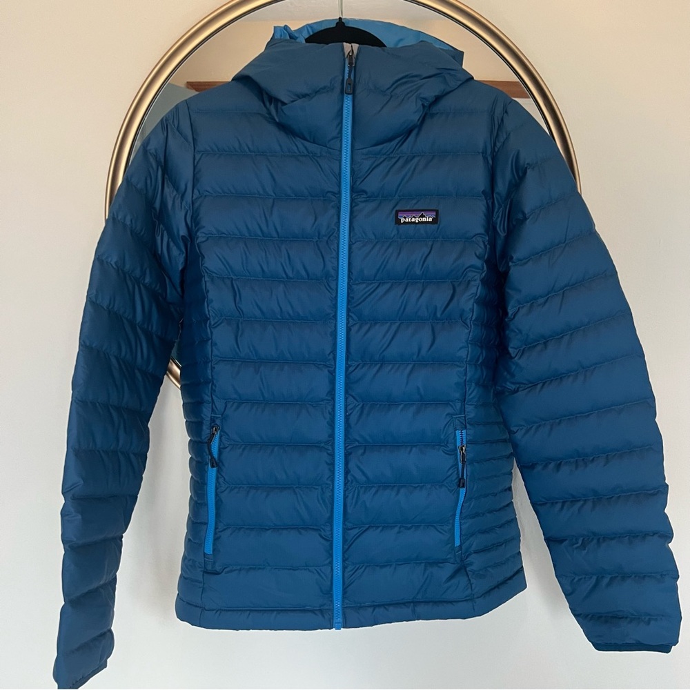 Patagonia Down Sweater Hoodie
